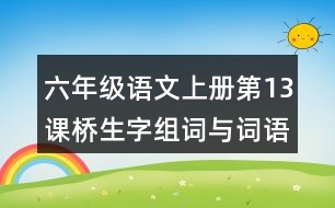 六年級(jí)語文上冊(cè)第13課橋生字組詞與詞語理解