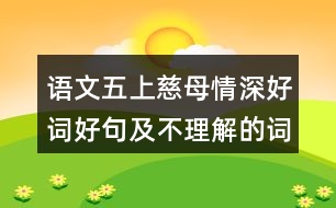 語文五上慈母情深好詞好句及不理解的詞語