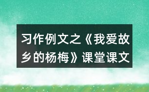 習(xí)作例文之《我愛故鄉(xiāng)的楊梅》課堂課文解析筆記