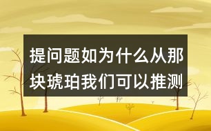 提問題如：為什么從那塊琥珀我們可以推測出幾千萬年前故事？