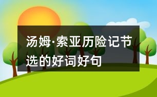 湯姆·索亞歷險(xiǎn)記節(jié)選的好詞好句