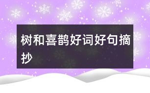 樹和喜鵲好詞好句摘抄