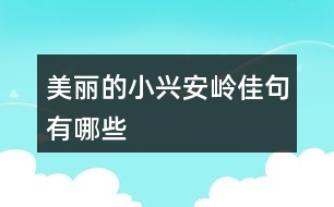 美麗的小興安嶺佳句有哪些