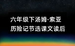 六年級下湯姆·索亞歷險記節(jié)選課文讀后感