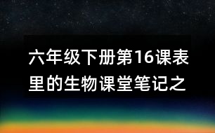 六年級(jí)下冊(cè)第16課表里的生物課堂筆記之句子解析