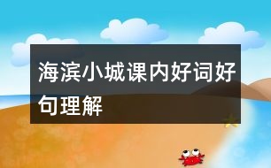 海濱小城課內(nèi)好詞好句理解