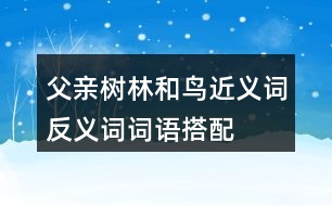 父親、樹(shù)林和鳥(niǎo)近義詞反義詞詞語(yǔ)搭配