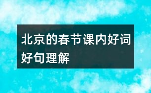 北京的春節(jié)課內(nèi)好詞好句理解