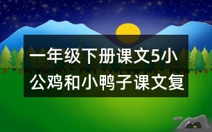 一年級下冊課文5：小公雞和小鴨子課文復(fù)習重難點課堂筆記