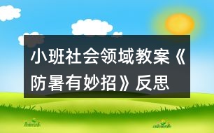 小班社會領域教案《防暑有妙招》反思