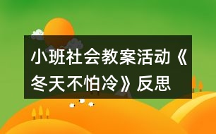 小班社會教案活動《冬天不怕冷》反思