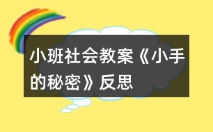 小班社會教案《小手的秘密》反思