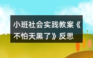 小班社會(huì)實(shí)踐教案《不怕天黑了》反思