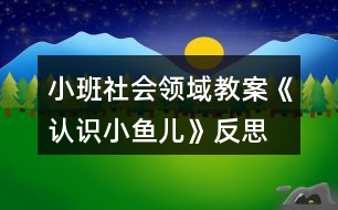 小班社會領(lǐng)域教案《認識小魚兒》反思