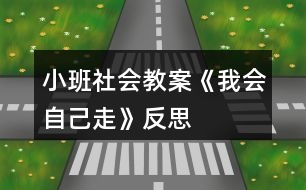 小班社會教案《我會自己走》反思