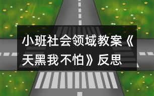 小班社會領域教案《天黑我不怕》反思