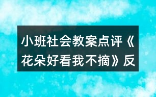 小班社會教案點評《花朵好看我不摘》反思