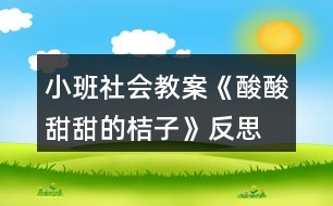 小班社會教案《酸酸甜甜的桔子》反思