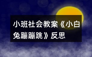 小班社會教案《小白兔蹦蹦跳》反思