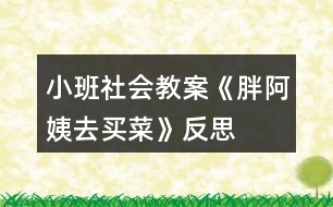 小班社會教案《胖阿姨去買菜》反思