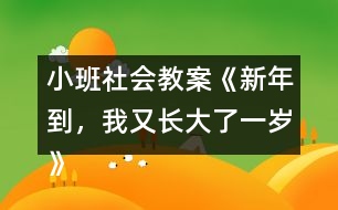 小班社會(huì)教案《新年到，我又長(zhǎng)大了一歲》反思