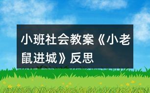 小班社會(huì)教案《小老鼠進(jìn)城》反思