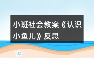 小班社會教案《認(rèn)識小魚兒》反思