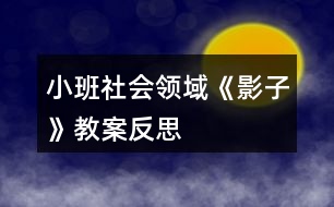 小班社會領域《影子》教案反思