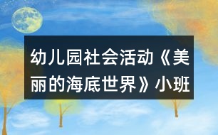 幼兒園社會(huì)活動(dòng)《美麗的海底世界》小班教案反思