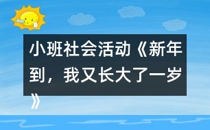 小班社會(huì)活動(dòng)《新年到，我又長(zhǎng)大了一歲》教學(xué)設(shè)計(jì)反思