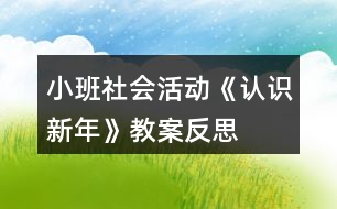 小班社會(huì)活動(dòng)《認(rèn)識(shí)新年》教案反思