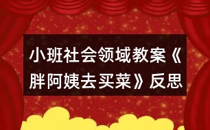 小班社會領(lǐng)域教案《胖阿姨去買菜》反思