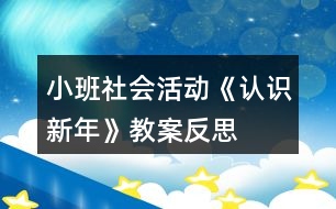 小班社會(huì)活動(dòng)《認(rèn)識(shí)新年》教案反思