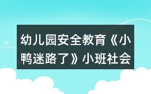 幼兒園安全教育《小鴨迷路了》小班社會(huì)安全教案反思