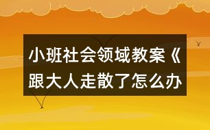 小班社會領域教案《跟大人走散了怎么辦》反思