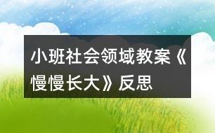 小班社會領域教案《慢慢長大》反思