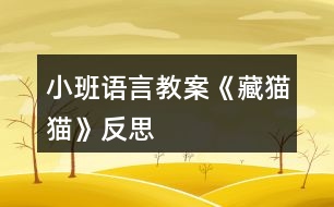 小班語言教案《藏貓貓》反思