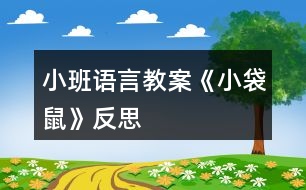 小班語言教案《小袋鼠》反思