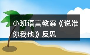 小班語言教案《說準(zhǔn)你我他》反思