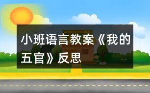 小班語言教案《我的五官》反思