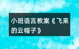 小班語言教案《飛來的云帽子》