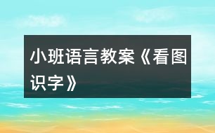 小班語言教案《看圖識字》