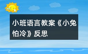 小班語言教案《小兔怕冷》反思