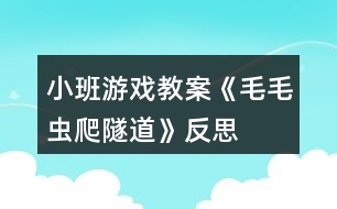 小班游戲教案《毛毛蟲爬隧道》反思