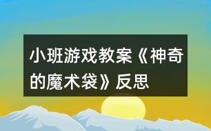 小班游戲教案《神奇的魔術(shù)袋》反思