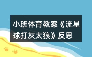 小班體育教案《流星球打灰太狼》反思