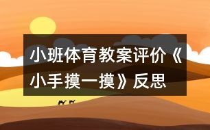 小班體育教案評價《小手摸一摸》反思