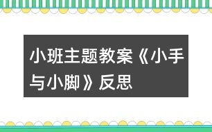 小班主題教案《小手與小腳》反思