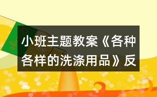 小班主題教案《各種各樣的洗滌用品》反思