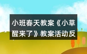 小班春天教案《小草醒來了》教案活動反思